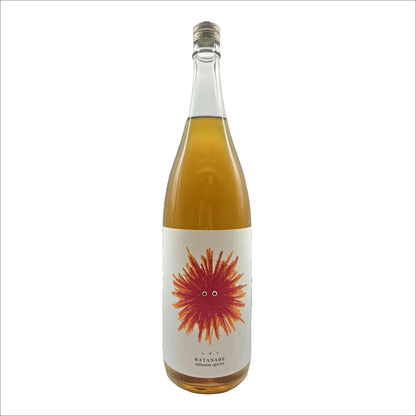 Watanabe　Infusion 　Spirits『ヒダマ』　　