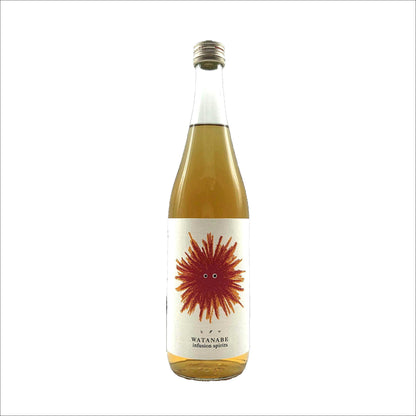Watanabe　Infusion 　Spirits『ヒダマ』　　